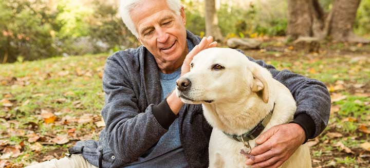 علاج الحيوانات الأليفة هو أفضل وسيلة ترفيه لكبار السن