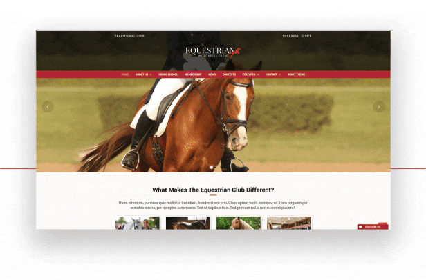 الفروسية - خيول واسطبلات WordPress Theme - 3
