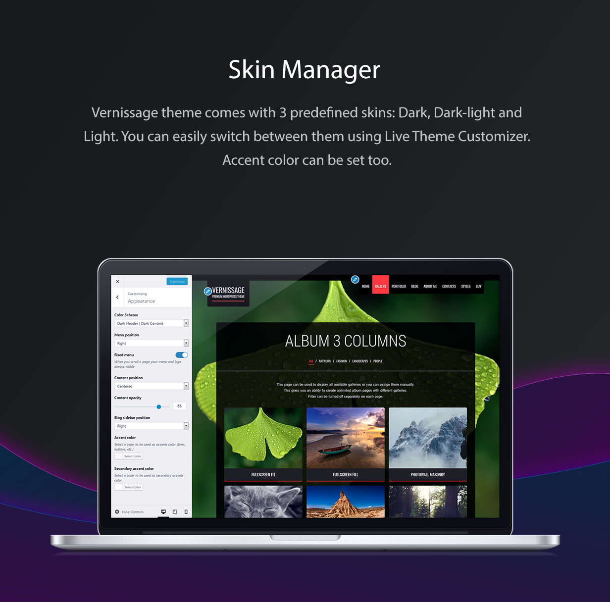 Vernissage WordPress Skin Manager